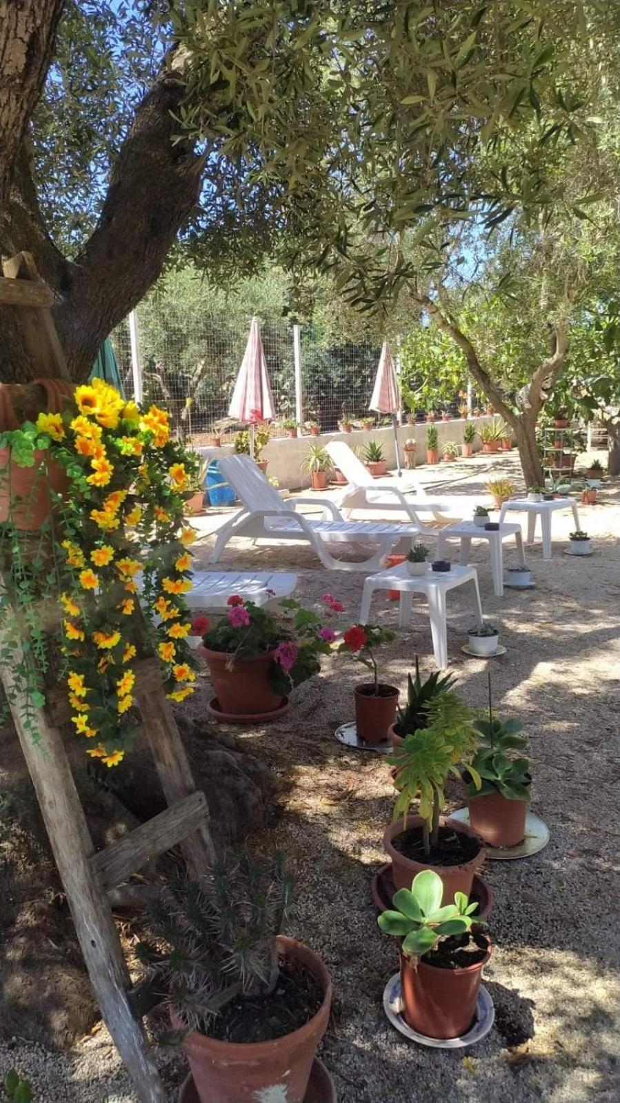 Villa Milla Monacizzo Dış mekan fotoğraf